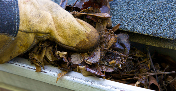 Gutter Cleaning, Countryside Maintenance Lawn & Landscape